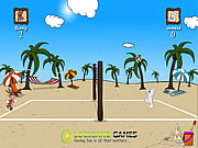 sport - Beach volleyball game
