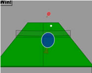 sport - Ping-pong 3D